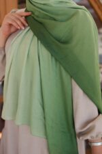 Degrade Desenli Ross Kraşli Şal - Görsel 2