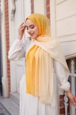 Degrade Desenli Ross Kraşli Şal - Görsel 4